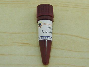Rhodamine 123